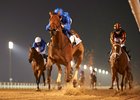 Winter Lightning is one of five starters, all stakes winners, out of Eastern Joy