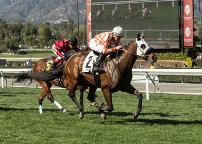Pubilius Syrus wins the 2018 Baffle Stakes