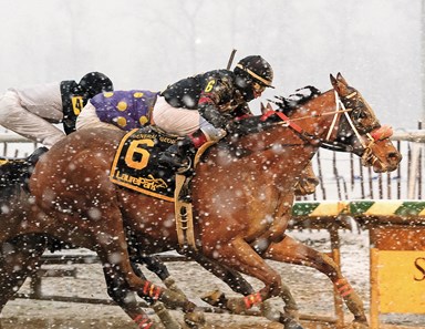 Something Awesome, General George Stakes, G3, Laurel Park, February 17 2018