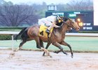 Blueridge Traveler returns to winning ways in a Feb. 10 allowance race at Oaklawn Park