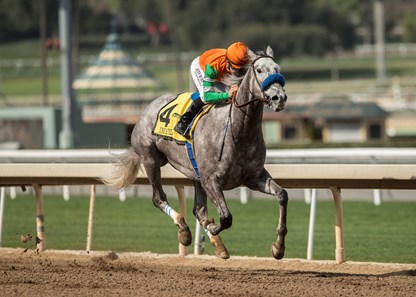 Don Alberto Stable's Unique Bella and jockey Mike Smith win the G2, $200,000 Santa Maria Stakes, Saturday, February 10, 2018 at Santa Anita Park, Arcadia CA.