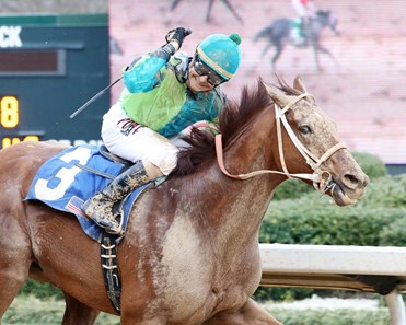 Hawaakom wins the 2018 Razorback Handicap (G3)
