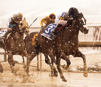 Enchanted Ghost wins the 2018 Wide Country Stakes