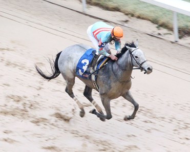 Red Ruby wins the 2018 Martha Washington Stakes