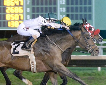 Blueridge Traveler wins the 2018 Maxxam Gold Cup