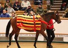 Consigned by Somerville Lodge as Lot 379, Willie John sold to Roger Varian for a record 1.9 million guineas