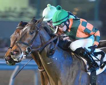 Proud Reunion wins the 2018 Jersey Lilly Turf Stakes