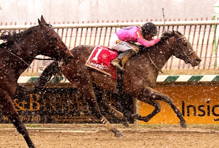 Still Having Fun wins the 2018 Miracle Wood Stakes