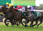 Daysee Doom (Green cap) wins the 2018 Millie Fox Stakes
ridden by Andrew Adkins and trained by Ron Quinton