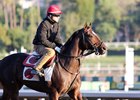 Trainer Robert Falcone Jr. exercising one of his horses Feb. 17 at Santa Anita Park