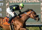 Fault wins the Buena Vista Stakes at Santa Anita Park