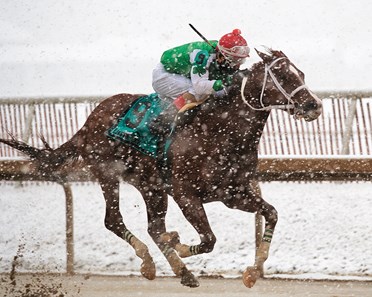 Ms Locust Point, Jorge Vargas Jr., $200,000, Barbara Fritchie Stakes, G2, Laurel Park, February 17 2018