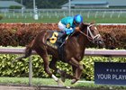 Strike Power wins the Swale Stakes at Gulfstream Park