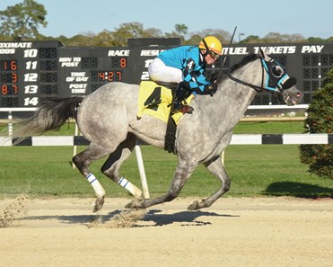 X Y Jet wins the 2018 Pelican Stakes