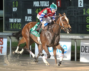 Ours to Run wins the 2018 LA Bred Premier Night Matron Stakes