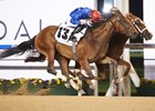 Winter Lightning (outside) wins the UAE One Thousand Guineas Trial at Meydan Racecourse