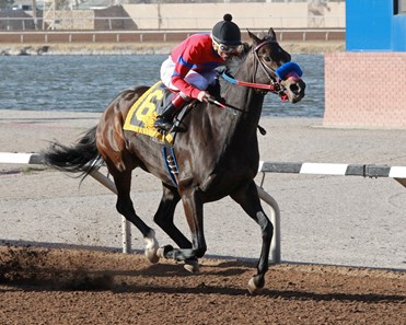 K P Wildcat wins the 2018 El Diario Handicap