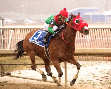Afleet Willy wins the 2018 John B. Campbell Stakes