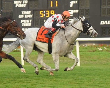 World Approval wins the 2018 Tampa Bay Stakes