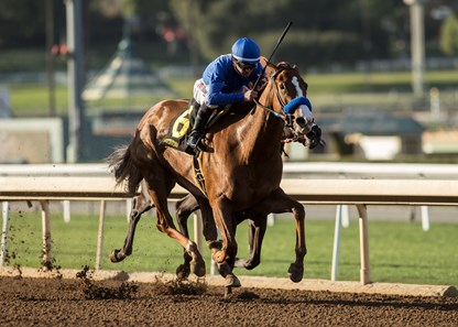 Selcourt wins the 2018 Las Flores Stakes (G3)