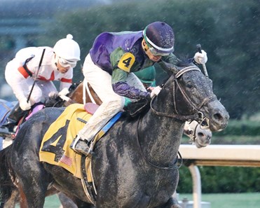 Bourne in Nixa wins the 2018 Gazebo Stakes