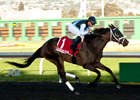 Paved wins the El Camino Real Derby