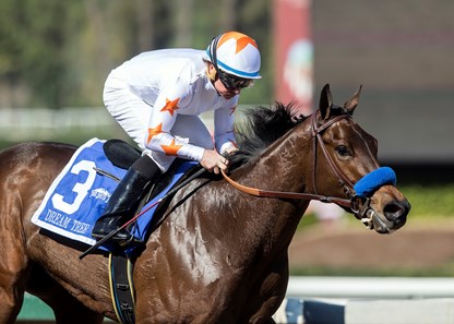 Dream Tree and jockey Drayden Van Dyke win the G2, $200,000 Las Virgenes Stakes, Sunday, February 4, 2018 at Santa Anita Park, Arcadia CA.