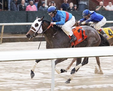 Ministry wins the 2018 Downthedustyroad Breeders' Stakes