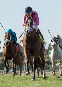 Gary Barber's Conquest Tsunami and jockey Victor Espinoz, center, outrun stablemates Stormy Liberal (Joel Rosario), left, and Calculator (Flavien Prat), right, to win the G3, $150,000 Daytona Stakes, Saturday, February 24, 2018 at Santa Anita Park, Arcadia CA.