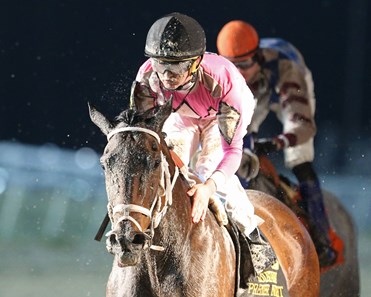 Pacific Pink wins the 2018 LA Bred Premier Night Distaff Stakes