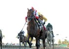 Economic Model wins the 2018 Hal's Hope Stakes
