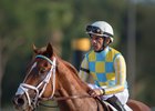Flameaway and jockey Jose Lezcano after winning the Sam F. Davis Stakes at Tampa Bay Downs