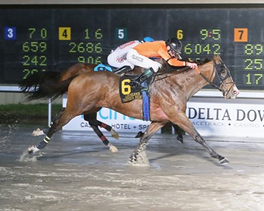 Monte Man wins the 2018 LA Bred Night Sprint