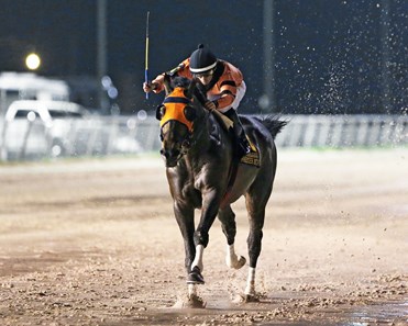 Mobile Bay wins the 2018 LA Bred Premier Night Championship Stakes