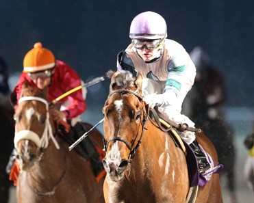 Theoryintopractice wins the 2018 LA Bred Gentlemen Starter