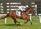 Dona Bruja draws clear to win the Endeavour Stakes at Tampa Bay Downs