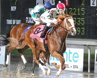 Gladyousawme wins the 2018 LA Bred Premier Night Prince Stakes