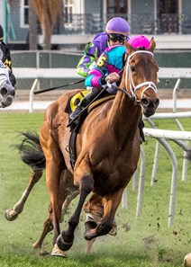 2/17/2018. - Mom’s On Strike with jockey Adam Beschizza aboard turns into the stretch and goes on to win the Albert Stall Memorial Stakes at Fair Grounds.
