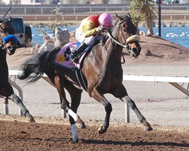 Sky Defence wins the 2018 Curribot Handicap