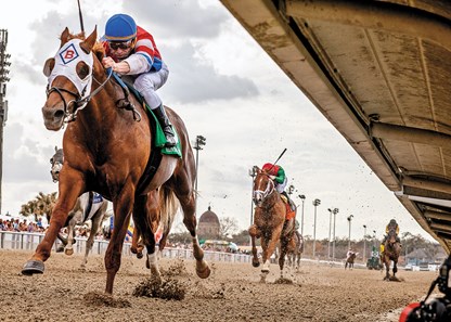 2/17/2018. - Calvin Borel pilots The Player to victory in the 33rd running of the Grade III Mineshaft Handicap at Fair Grounds. Hodges Phorography / Amanda Hodges Weir