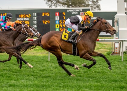 Compelled wins the 2018 Mardi Gras Stakes