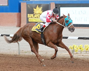 Sippins wins the 2018 Peppers Pride Handicap
