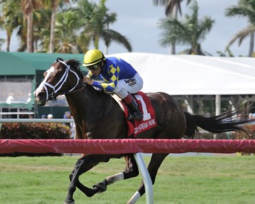 Salmanazar wins the 2018 Texas Glitter