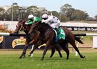 Sunlight (outside) wins the Silver Slipper Stakes at Rosehill Gardens