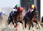 Nonkono Yume (outside) wins the February Stakes over Gold Dream