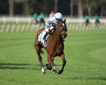 Dona Bruja wins the 2018 Lambholm South Endeavour Stakes (G3T)