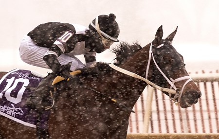 Miss Inclusive wins the 2018 Maryland Racing Media Stakes