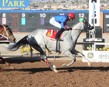 Citizen Geller wins the 2018 Mt Cristo Rey Handicap