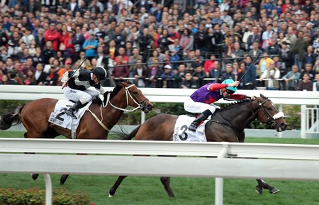 The Chad Schofield-ridden Singapore Sling (No. 3), trained by Tony Millard, wins the Hong Kong Classic Cup (1800m), the second leg of the Hong Kong Four-Year-Old Series, at Sha Tin Racecourse Febuary 18 2018