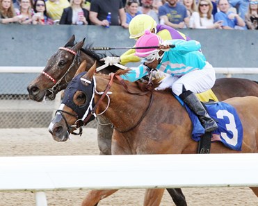 Whitmore wins the 2018 Hot Springs Stakes